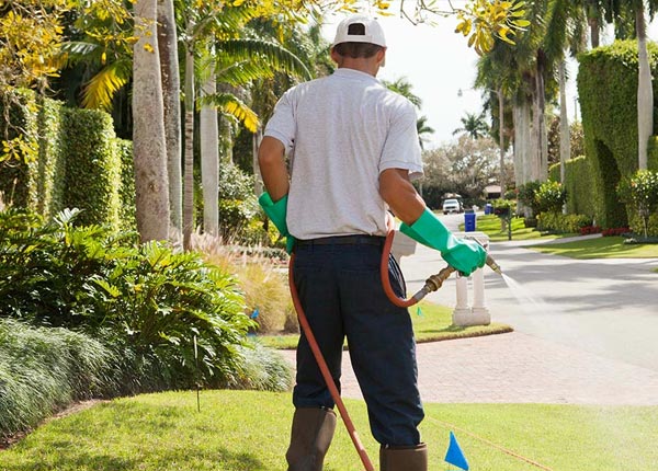 About Miami TX Pest Control